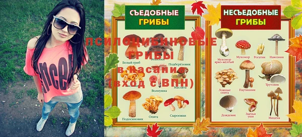 эйфоретик Алексин