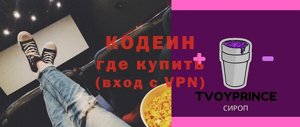 ECSTASY Алзамай